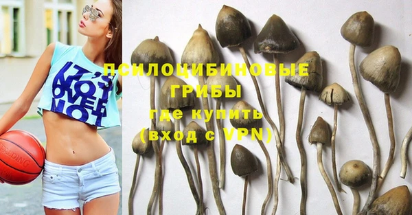а пвп мука Балабаново