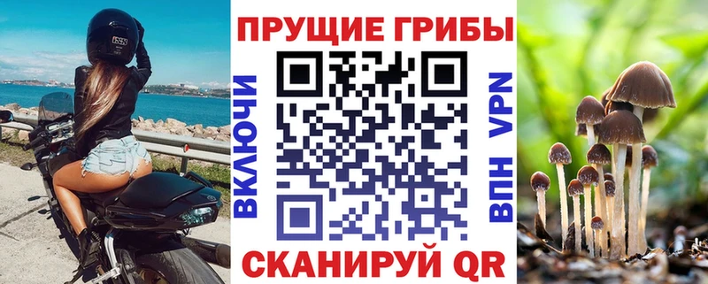 Галлюциногенные грибы Psilocybine cubensis  Чухлома 