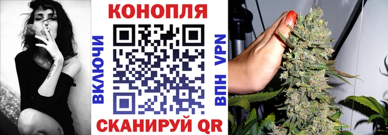 мега маркетплейс  Чухлома  Бошки Шишки VHQ 